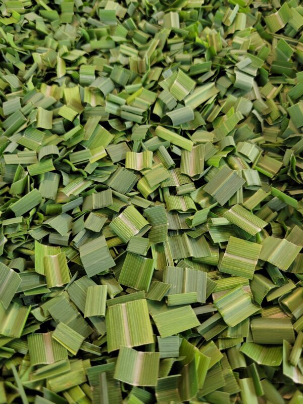 Lemongrass - Image 3