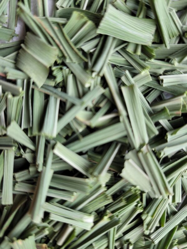 A close up of some green sticks